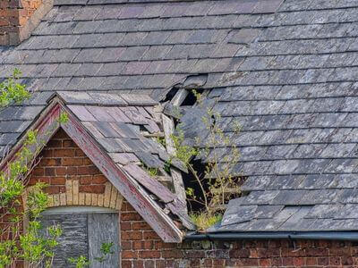 Professional storm damage restoration services in Deland - water damage restoration service